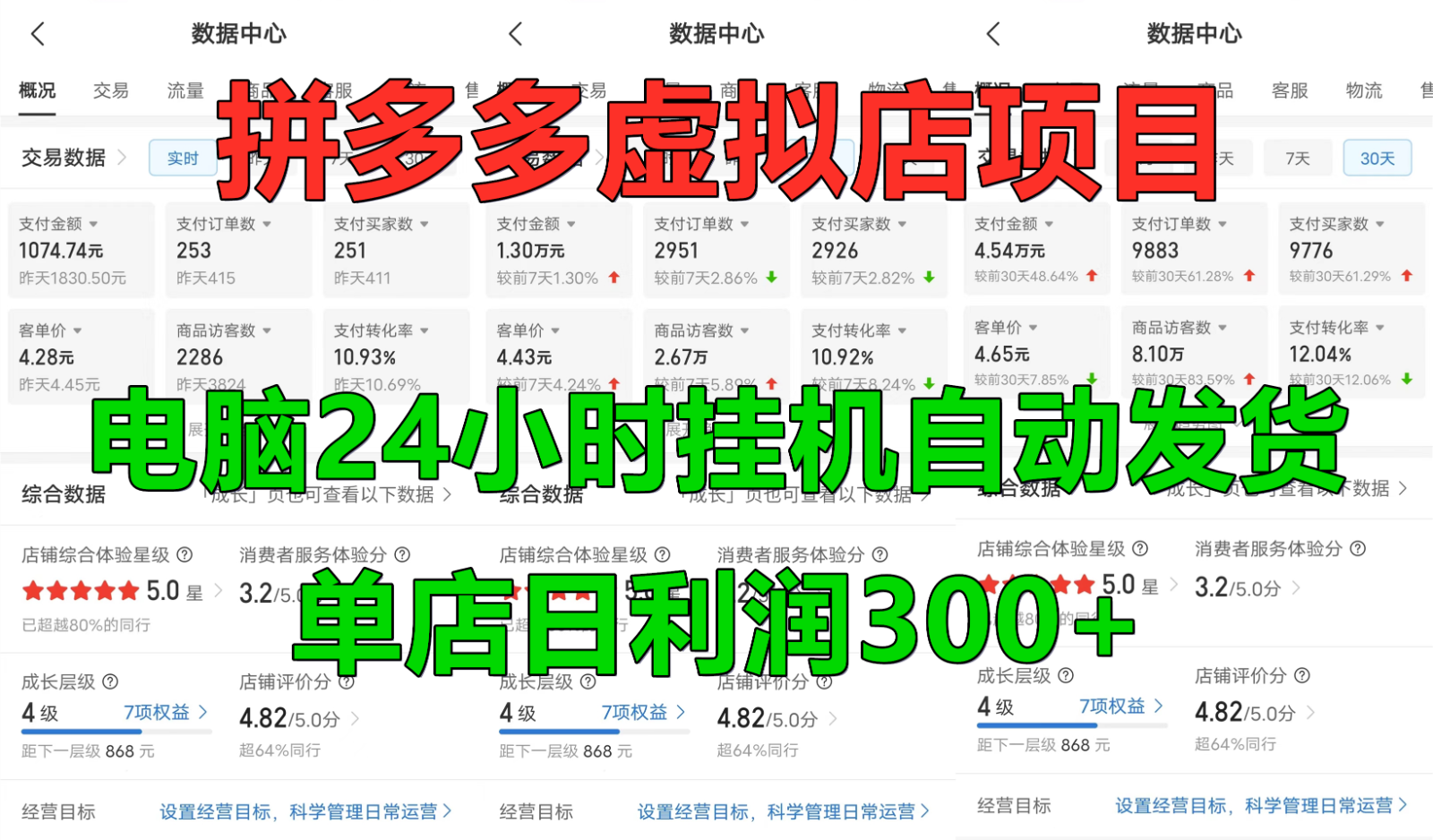 拼多多虚拟店铺项目，电脑挂机自动发货，单店日利润300+-占领资源网