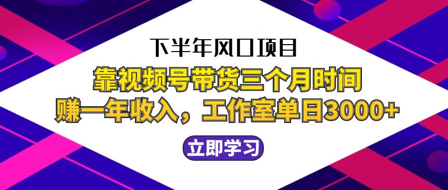 下半年风口项目，靠视频号带货三个月时间赚一年收入，工作室实测单日3…-占领资源网