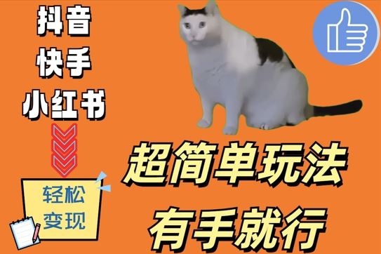超简单玩法，有手就行，靠猫咪视频日入500+【揭秘】-占领资源网