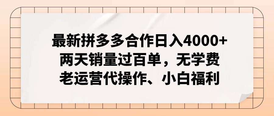 （12869期）拼多多最新合作日入4000+两天销量过百单，无学费、老运营代操作、小白福利-占领资源网