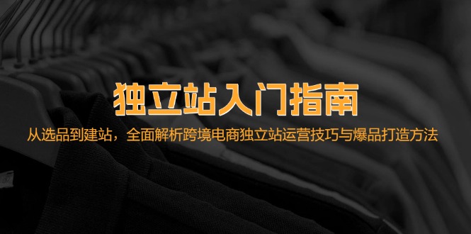 （12882期）独立站入门指南：从选品到建站，全面解析跨境电商独立站运营技巧与爆品…-占领资源网