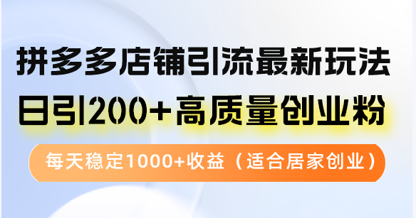 （12893期）拼多多店铺引流最新玩法，日引200+高质量创业粉，每天稳定1000+收益（…-占领资源网