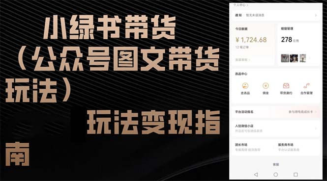 （12902期）小绿书带货（公众号图文带货玩法）玩法变现指南-占领资源网