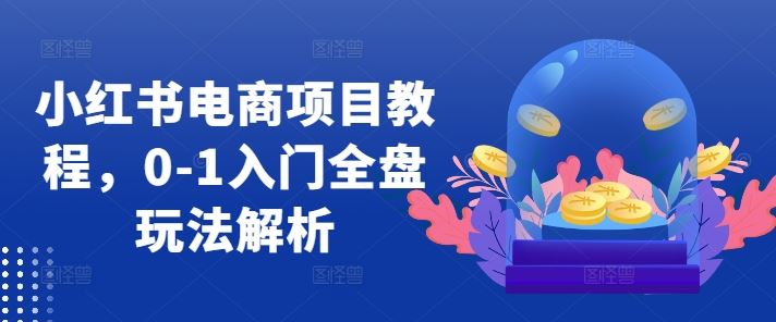 小红书电商项目教程，0-1入门全盘玩法解析-占领资源网