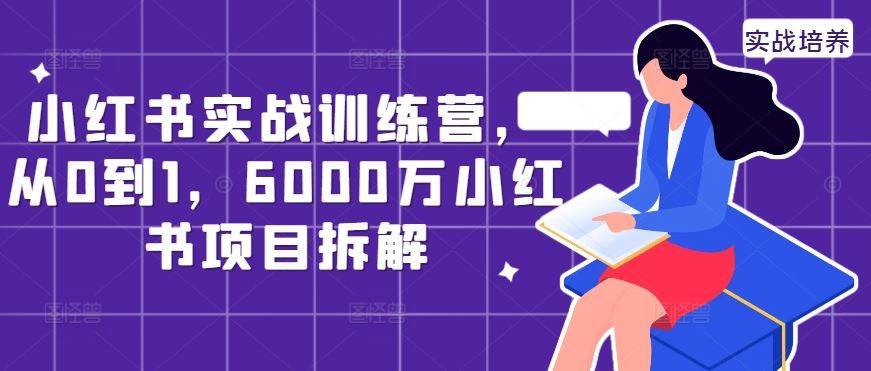 小红书实战训练营，从0到1，6000万小红书项目拆解-占领资源网