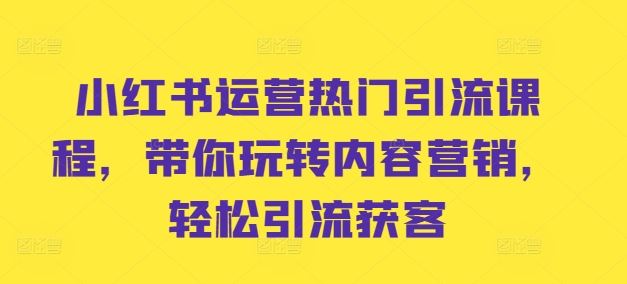小红书运营热门引流课程，带你玩转内容营销，轻松引流获客-占领资源网