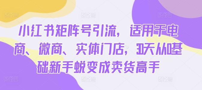 小红书矩阵号引流，适用于电商、微商、实体门店，30天从0基础新手蜕变成卖货高手-占领资源网