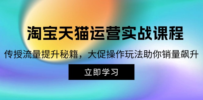 （12959期）淘宝&天猫运营实战课程，传授流量提升秘籍，大促操作玩法助你销量飙升-占领资源网