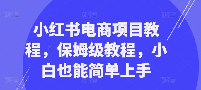 小红书电商项目教程，保姆级教程，小白也能简单上手-占领资源网