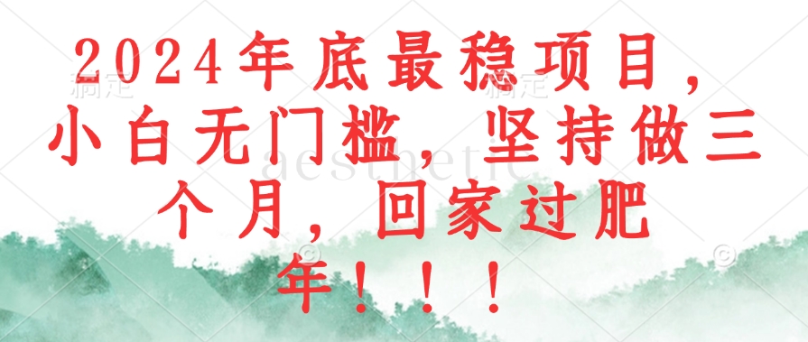 （12970期）2024年底最稳项目，小白无门槛，坚持做三个月，回家过肥年！！！-占领资源网