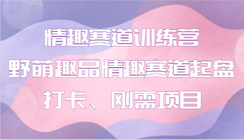 情趣赛道训练营 野萌趣品情趣赛道起盘打卡、刚需项目-占领资源网