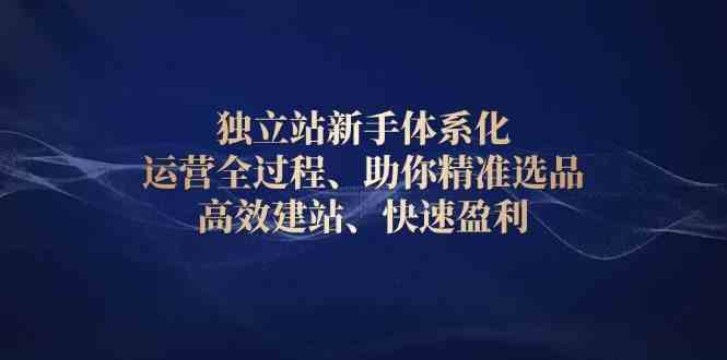 独立站新手体系化 运营全过程，助你精准选品、高效建站、快速盈利-占领资源网