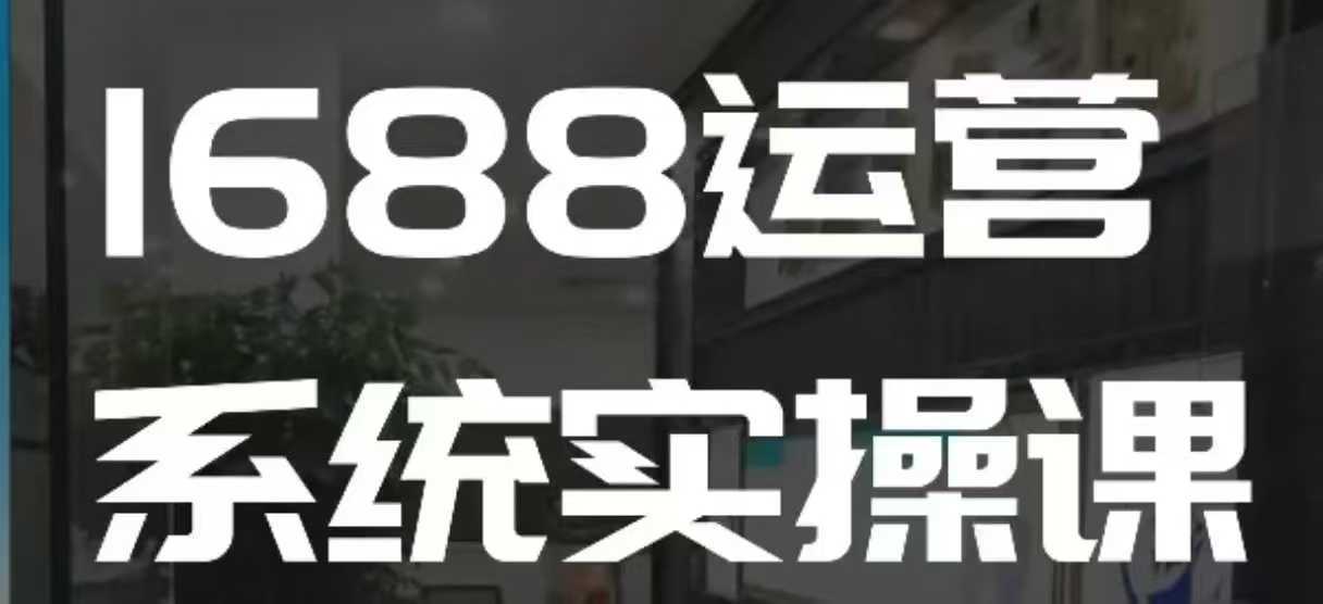 1688高阶运营系统实操课，快速掌握1688店铺运营的核心玩法-占领资源网