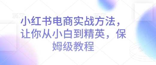 小红书电商实战方法，让你从小白到精英，保姆级教程-占领资源网