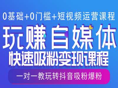 0基础+0门槛+短视频运营课程，玩赚自媒体快速吸粉变现课程，一对一教玩转抖音吸粉爆粉-占领资源网