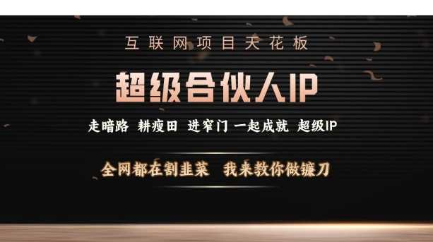 互联网项目天花板，超级合伙人IP，全网都在割韭菜，我来教你做镰刀【仅揭秘】-占领资源网