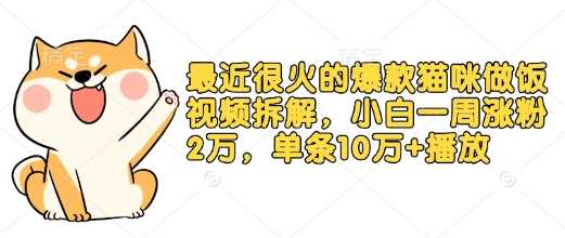 最近很火的爆款猫咪做饭视频拆解，小白一周涨粉2万，单条10万+播放(附保姆级教程)-占领资源网
