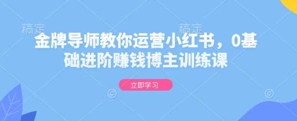 金牌导师教你运营小红书，0基础进阶赚钱博主训练课-占领资源网
