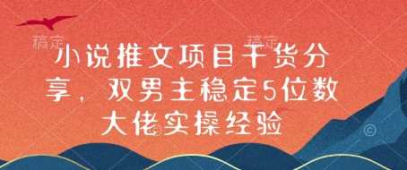 小说推文项目干货分享，双男主稳定5位数大佬实操经验-占领资源网