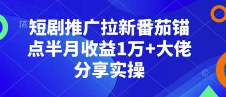 短剧推广拉新番茄锚点半月收益1万+大佬分享实操-占领资源网