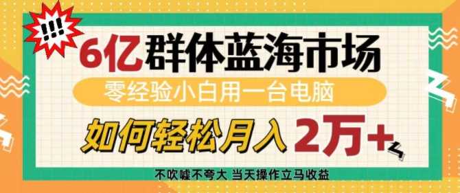 6亿群体蓝海市场，零经验小白用一台电脑，如何轻松月入过w【揭秘】-占领资源网