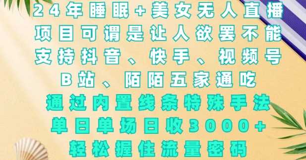 2024年睡眠+美女无人直播，通过内置线条特殊手法，单场日收3k+，轻松握住流量密码【揭秘】-占领资源网