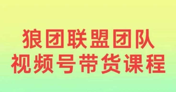 狼团联盟2024视频号带货，0基础小白快速入局视频号-占领资源网
