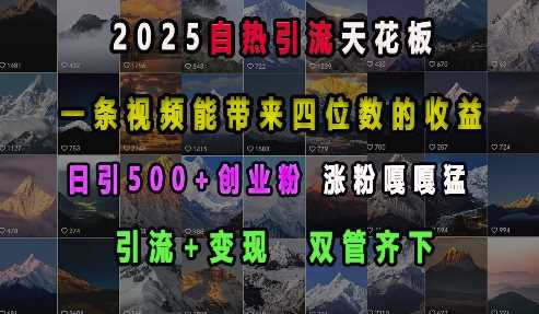 2025自热引流天花板，一条视频能带来四位数的收益，引流+变现双管齐下，日引500+创业粉，涨粉嘎嘎猛-占领资源网