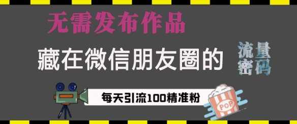 藏在微信朋友圈的流量密码，无需发布作品，单日引流100+精准创业粉【揭秘】-占领资源网
