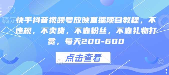快手抖音视频号放映直播项目教程，不违规，不卖货，不靠粉丝，不靠礼物打赏，每天200-600-占领资源网