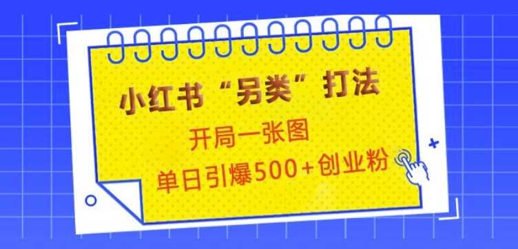 小红书“另类”打法，开局一张图，单日引爆500+精准创业粉【揭秘】-占领资源网