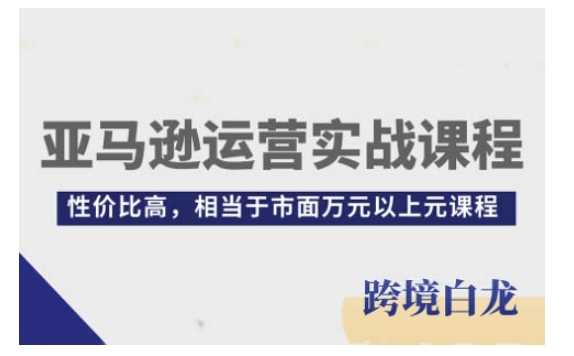 亚马逊运营实战课程，亚马逊从入门到精通，性价比高，相当于市面万元以上元课程-占领资源网