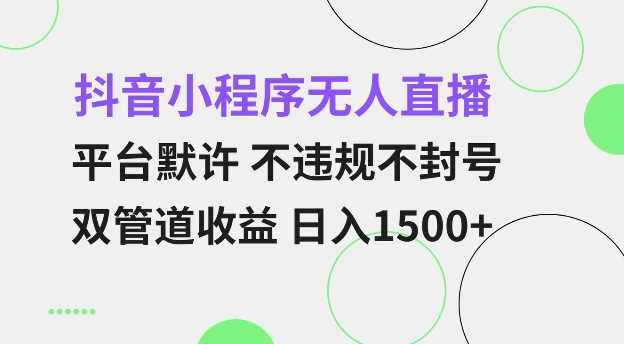 抖音小程序无人直播 平台默许 不违规不封号 双管道收益 日入多张 小白也能轻松操作【仅揭秘】-占领资源网