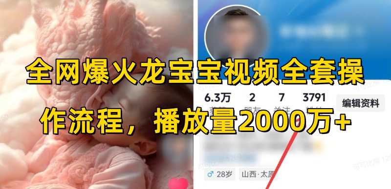 全网爆火龙宝宝视频全套操作流程，播放量2000万+-占领资源网