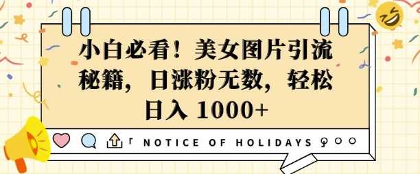小白必看，美女图片引流秘籍，日涨粉无数，轻松日入几张【揭秘】-占领资源网