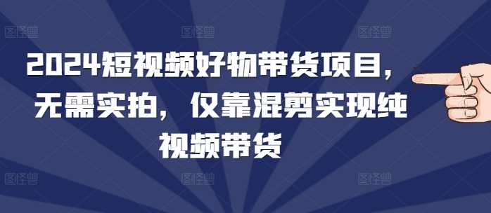 2024短视频好物带货项目，无需实拍，仅靠混剪实现纯视频带货-占领资源网