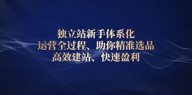 （13914期）独立站新手体系化 运营全过程，助你精准选品、高效建站、快速盈利-占领资源网