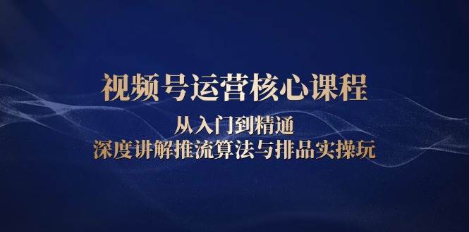 （13863期）视频号运营核心课程，从入门到精通，深度讲解推流算法与排品实操玩-占领资源网