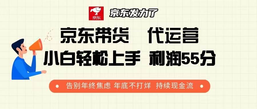 （13833期）京东带货 代运营 利润55分 告别年终焦虑 年底不打烊 持续现金流-占领资源网
