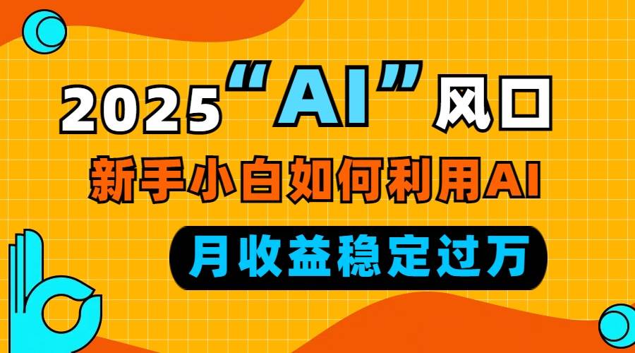 （13821期）2025“ AI ”风口，新手小白如何利用ai，每月收益稳定过万-占领资源网