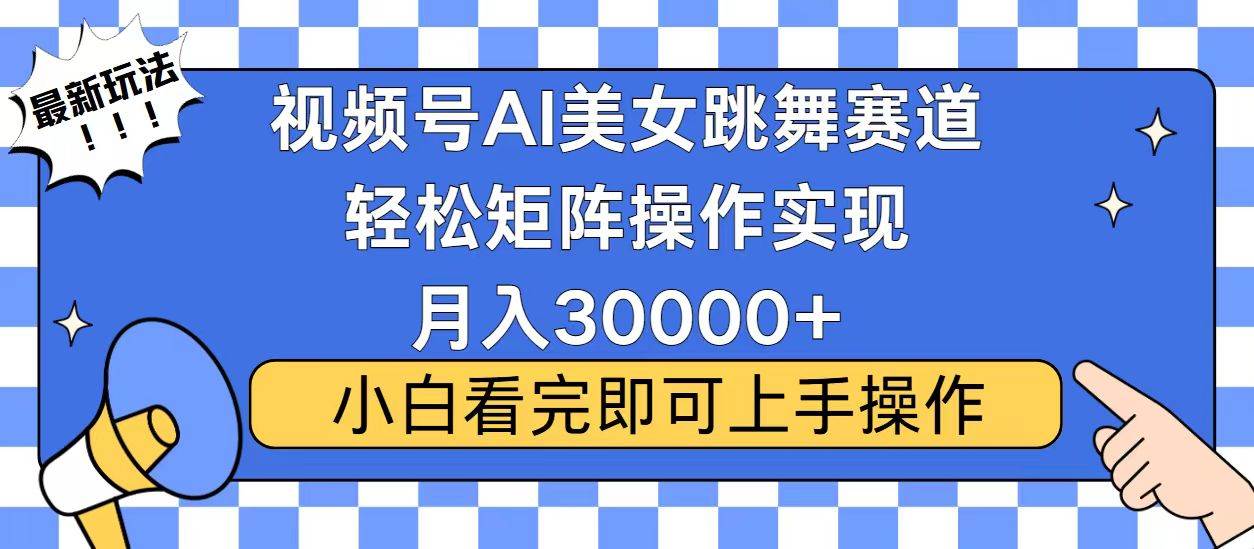 （13813期）视频号蓝海赛道玩法，当天起号，拉爆流量收益，小白也能轻松月入30000+-占领资源网