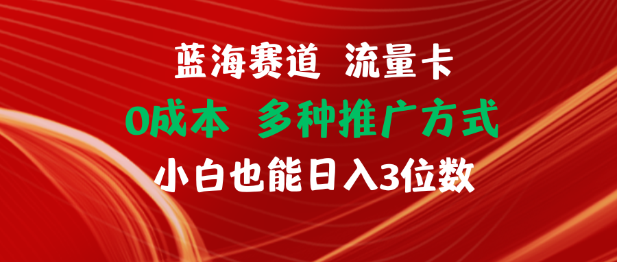 【站长实操】蓝海赛道 流量卡 0成本 小白也能日入三位数-占领资源网
