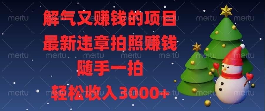 （13804期）解气又赚钱的项目，最新违章拍照赚钱，随手一拍，轻松收入3000+-占领资源网
