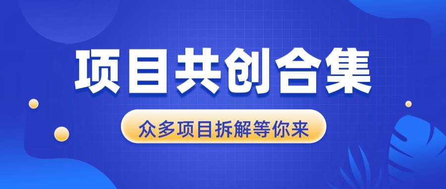 （13778期）项目共创合集，从0-1全过程拆解，让你迅速找到适合自已的项目-占领资源网