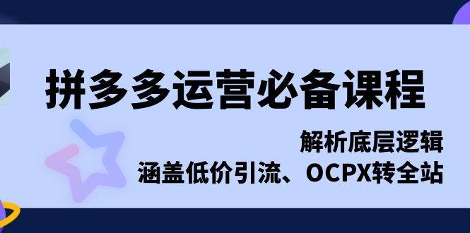 （13700期）拼多多运营必备课程，解析底层逻辑，涵盖低价引流、OCPX转全站-占领资源网