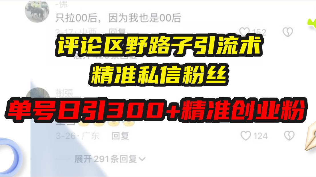 （13676期）评论区野路子引流术，精准私信粉丝，单号日引流300+精准创业粉-占领资源网