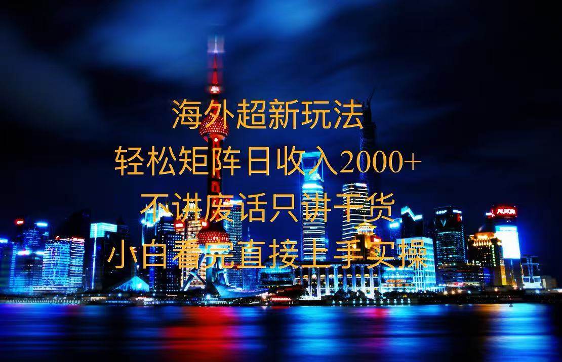 （13583期）2025全新海外暴力玩法，操作简单，小白轻松上手-占领资源网