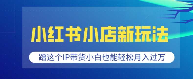 小红书小店新玩法，蹭这个IP带货，小白也能轻松月入过W【揭秘】-占领资源网
