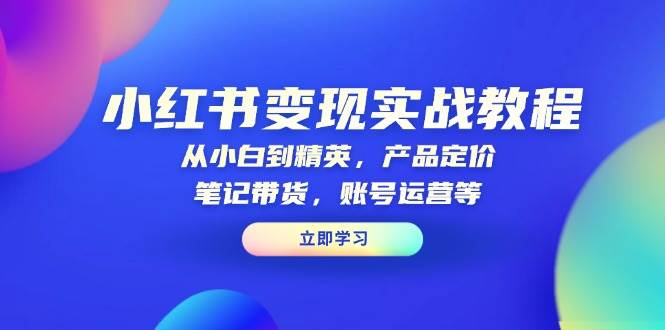 小红书变现实战教程：从小白到精英，产品定价，笔记带货，账号运营等-占领资源网