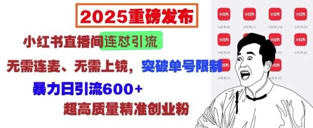 2025重磅发布：小红书直播间连怼引流，无需连麦、无需上镜，突破单号限制，暴力日引流600+-占领资源网